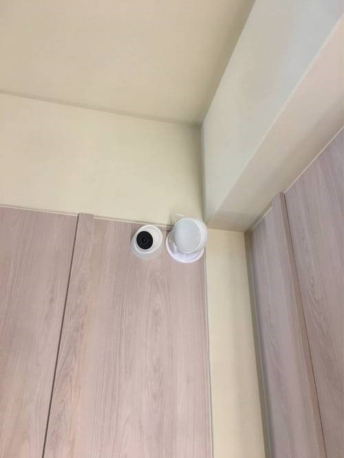 DOME 1 磁吸式3吋球型喇叭